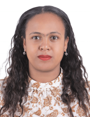 MIHRET W/MEDHIN AMERGA